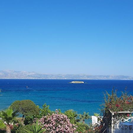 Hotel Paros Blue Dolphin à Chrisi Akti  Extérieur photo