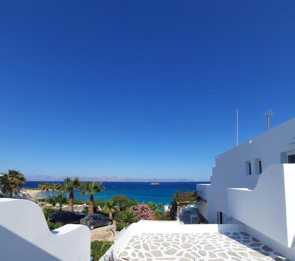 Hotel Paros Blue Dolphin à Chrisi Akti  Extérieur photo