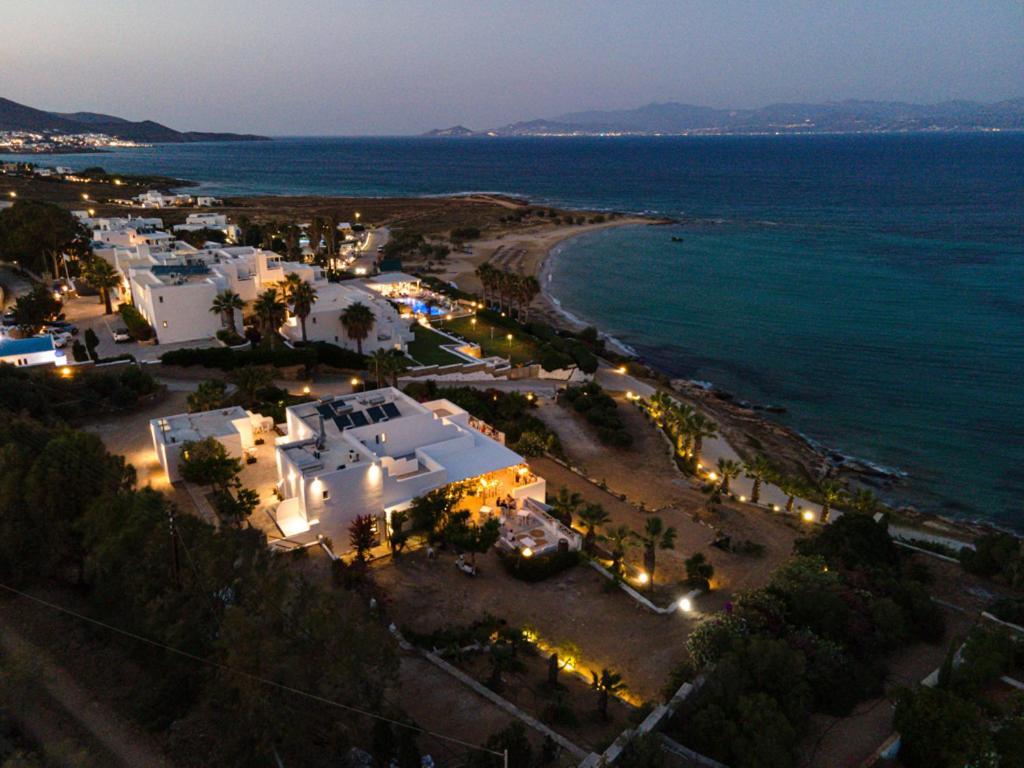 Hotel Paros Blue Dolphin à Chrisi Akti  Extérieur photo