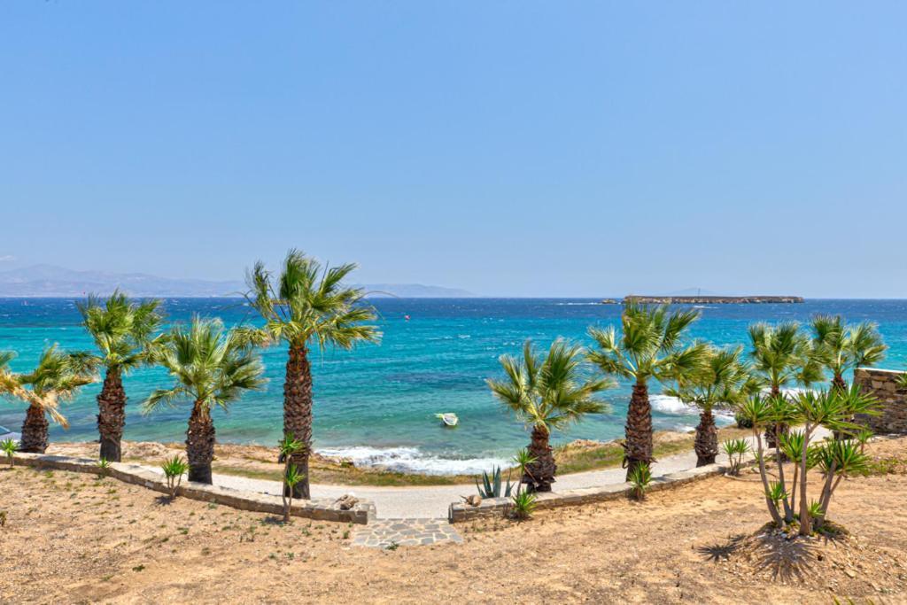 Hotel Paros Blue Dolphin à Chrisi Akti  Extérieur photo
