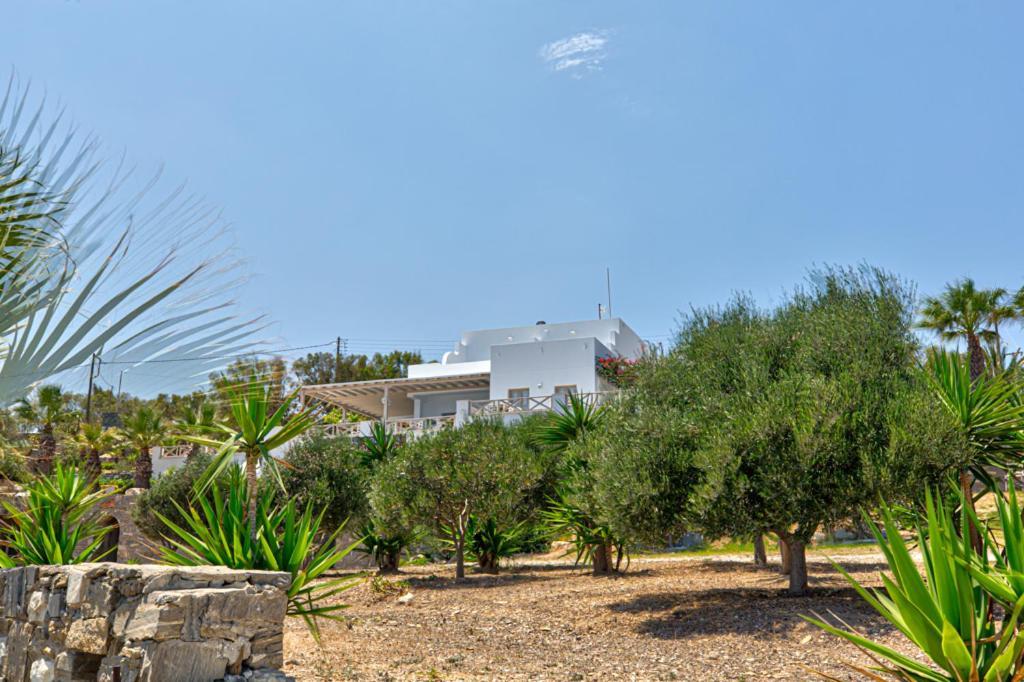 Hotel Paros Blue Dolphin à Chrisi Akti  Extérieur photo