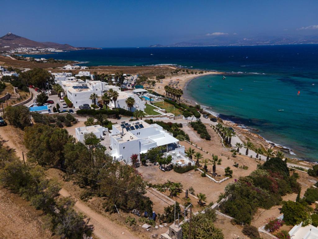 Hotel Paros Blue Dolphin à Chrisi Akti  Extérieur photo