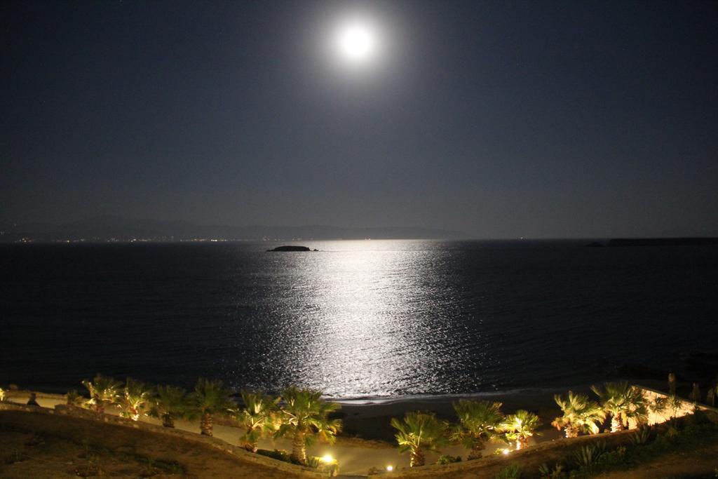 Hotel Paros Blue Dolphin à Chrisi Akti  Extérieur photo