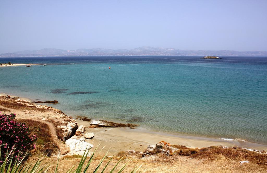 Hotel Paros Blue Dolphin à Chrisi Akti  Extérieur photo