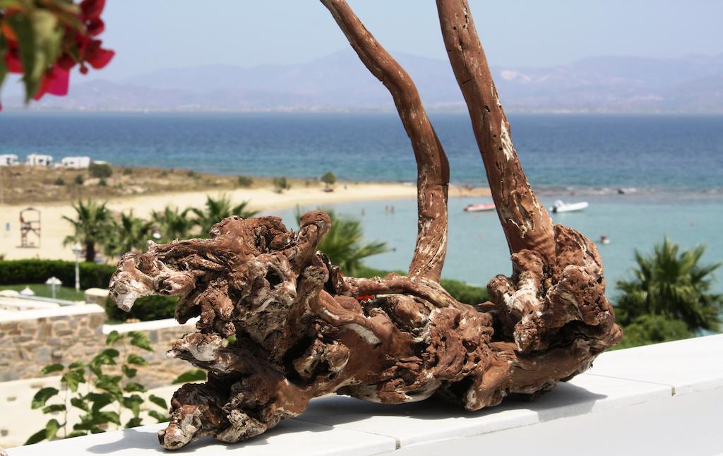 Hotel Paros Blue Dolphin à Chrisi Akti  Extérieur photo
