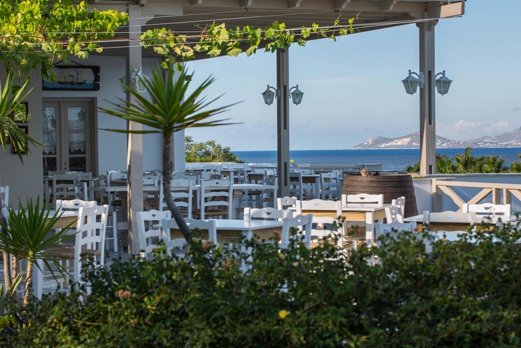 Hotel Paros Blue Dolphin à Chrisi Akti  Extérieur photo